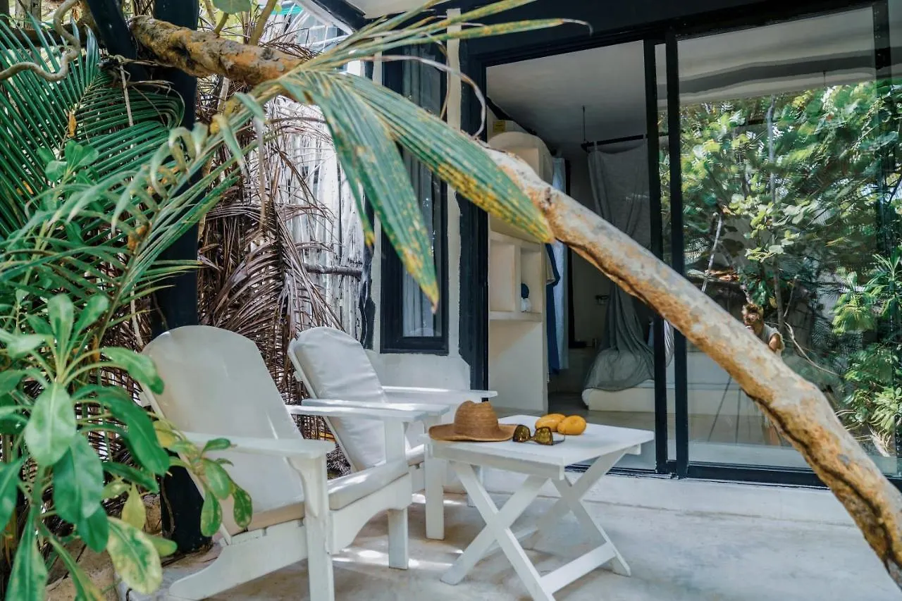 **  Coco Tulum Hotel Mexico